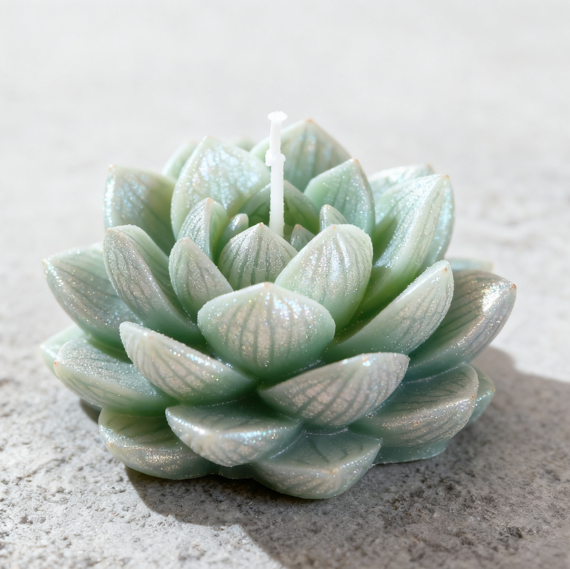 多肉植物造型香薰蜡烛（仿真绿植款）